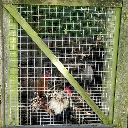 Kristinebjerg Проживание в семье Jelling