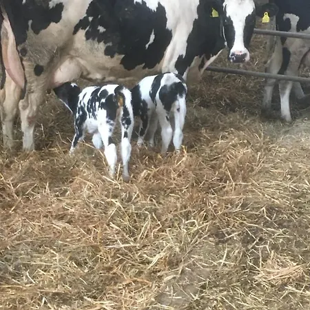 Kristinebjerg Séjour chez l'habitant
