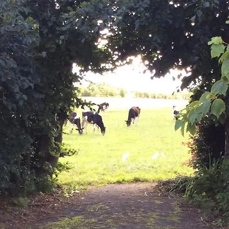 Kristinebjerg Homestay *
